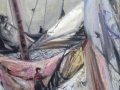 Segel bergen, 2013, Öl auf Leinwand, 60x45 cm