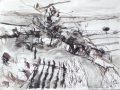 Im Colle verde, 1992, Feder, Pinsel, Tusche, 17x23